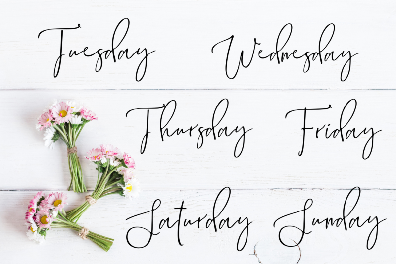 handdrawn-calligrapfic-scripts-stickers-days-of-week-clipart