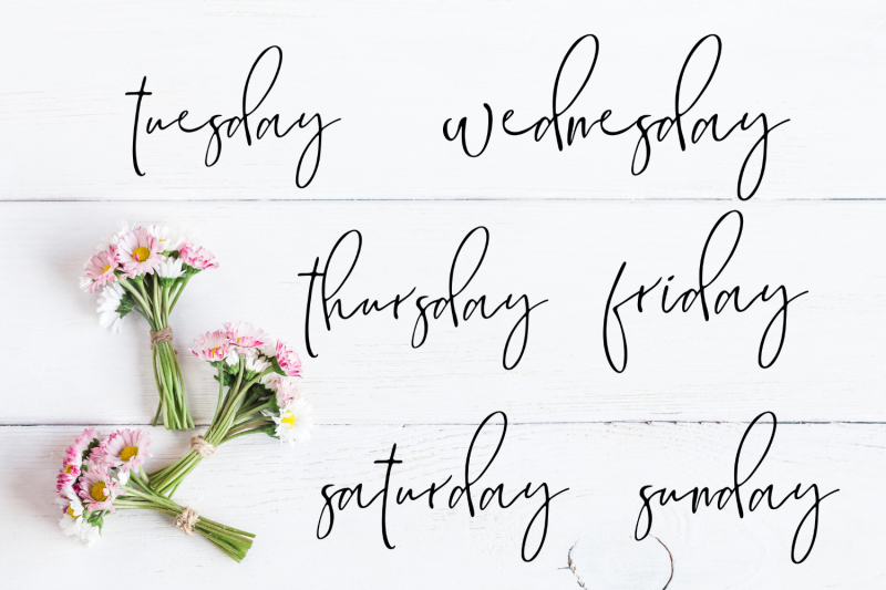 handdrawn-calligrapfic-scripts-stickers-days-of-week-clipart