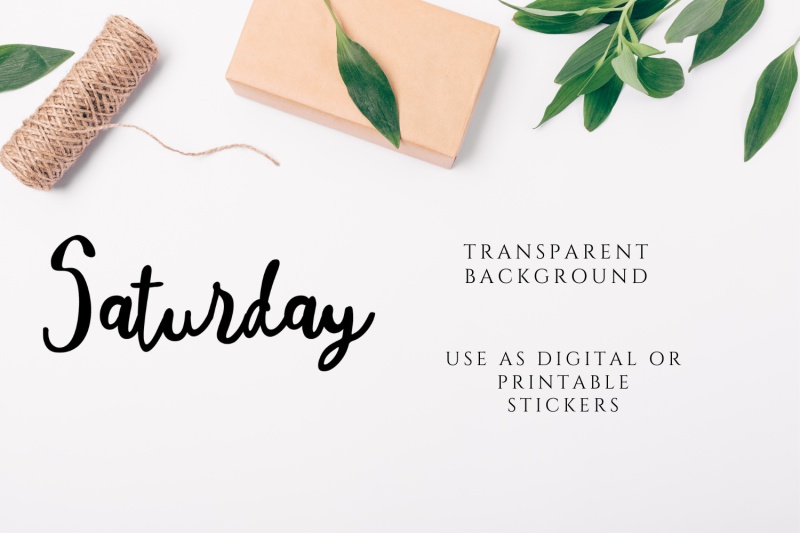 swirly-calligraphic-lettered-stickers-days-of-the-week-stickers