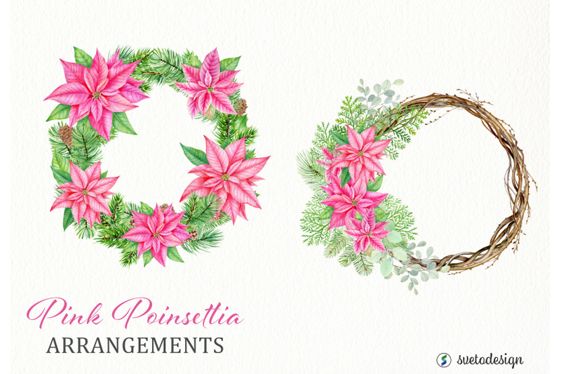 christmas-pink-poinsettia-arrangememnts-watercolor-clipart