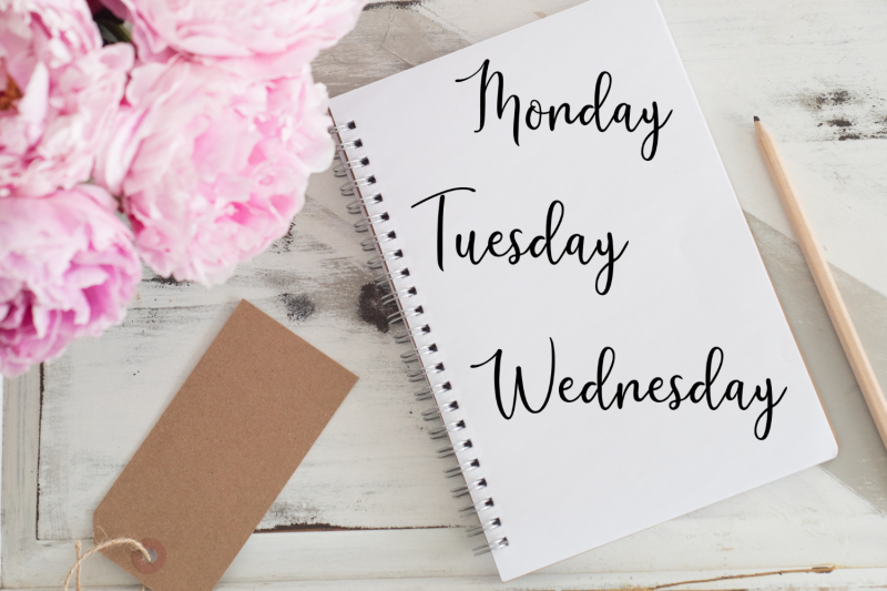lettered-stickers-days-of-the-week-stickers-bullet-journals-planners