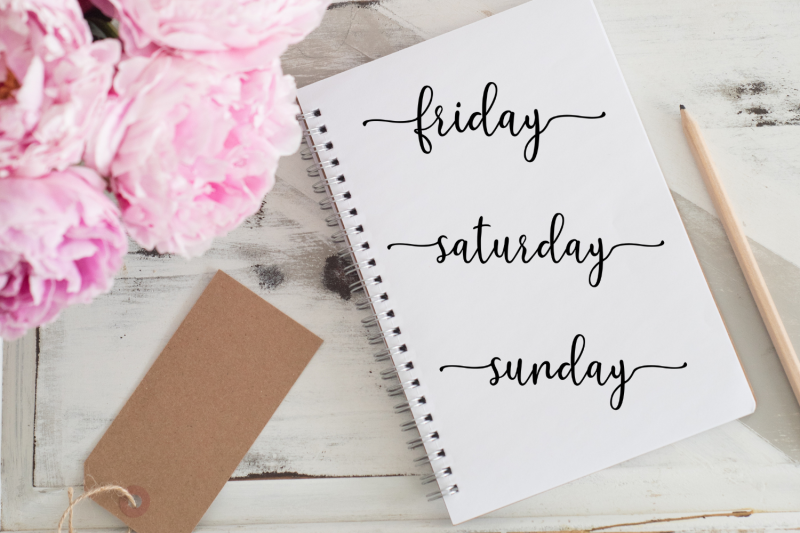 lettered-stickers-days-of-the-week-stickers-bullet-journals-planners