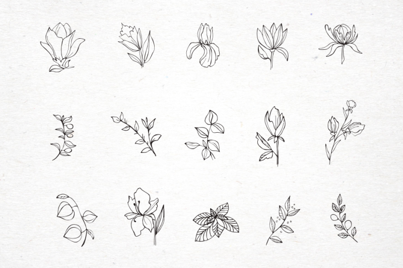floral-elements-for-logo-templates-for-design-vector-frames-in-svg