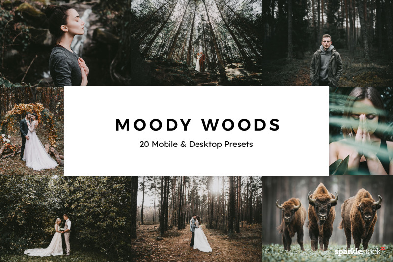 20-moody-woods-lr-presets