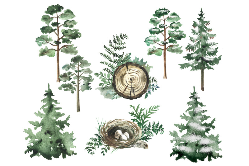 watercolor-forest-clipart-forest-pines-trees-forest-landscapes