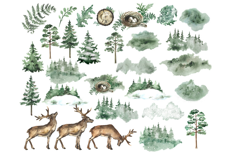 watercolor-forest-clipart-forest-pines-trees-forest-landscapes