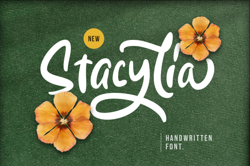 stacylia-handwritten-font