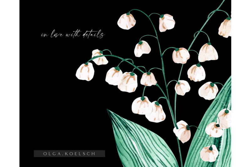 watercolor-spring-floral-clipart-lily-of-the-valey-white-flowers-digi