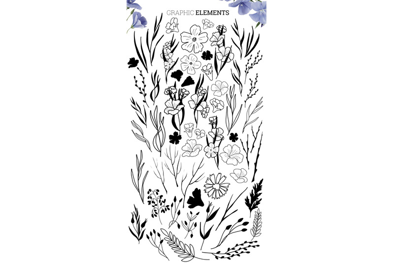 set-of-vector-floral-graphic-elements-quot-black-flax-quot