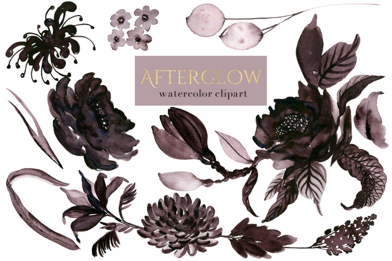 afterglow-dark-bordeaux-flowers