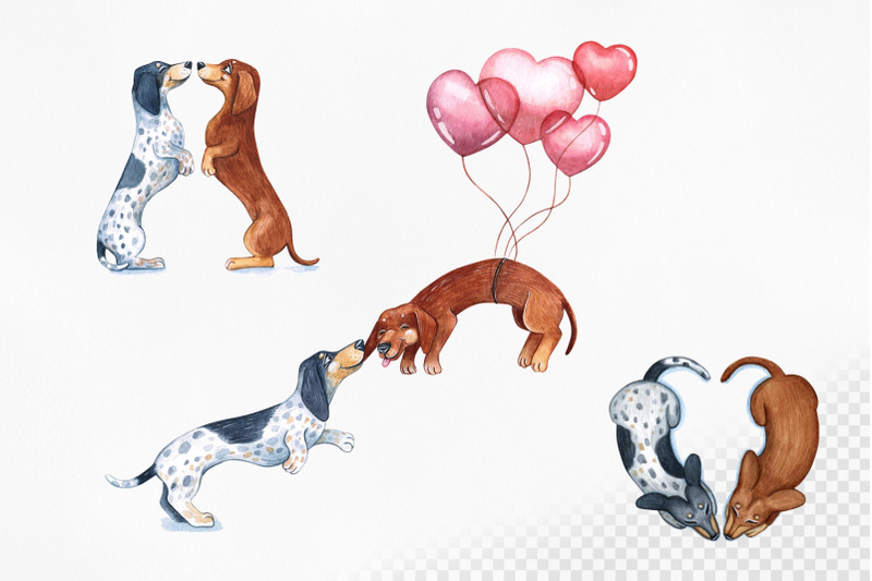dachshunds-love-watercolor-love-illustrations-14-februry