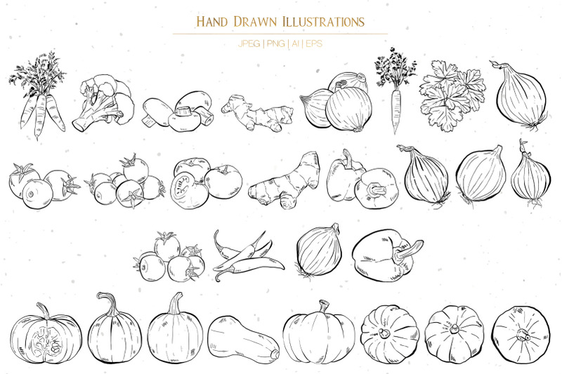 hand-drawn-vegetables-illustrations