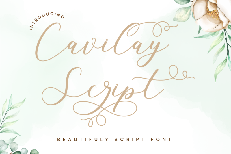 cavilay-script-wedding-font