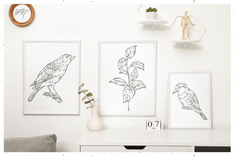 birds-and-berries-illustrations