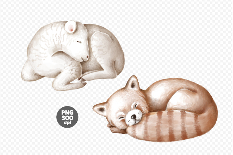 cute-sleeping-animals-clipart
