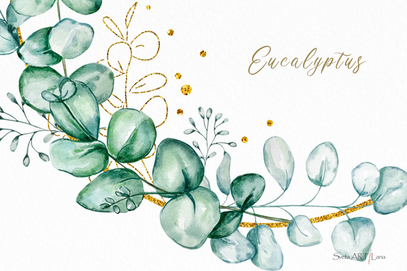 watercolor-eucalyptus-wreath-clipart