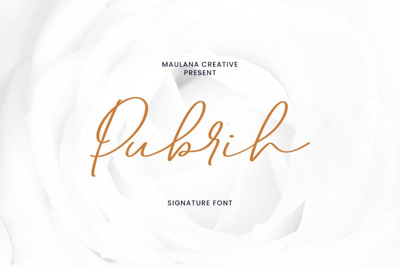 pubrih-signature-font