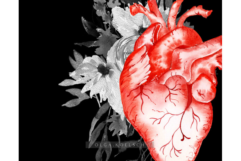 watercolor-anatomical-heart-clipart-valentine-clipart-red-florals