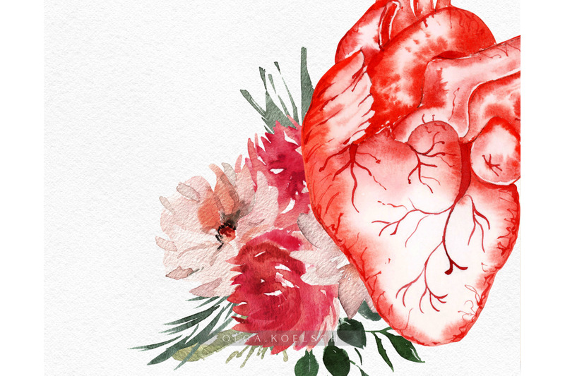 watercolor-anatomical-heart-clipart-valentine-clipart-red-florals