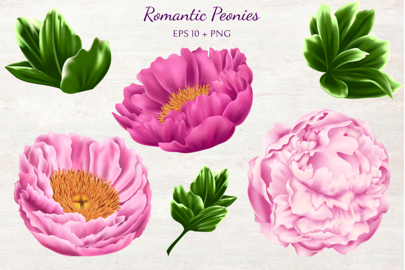 romantic-peonies