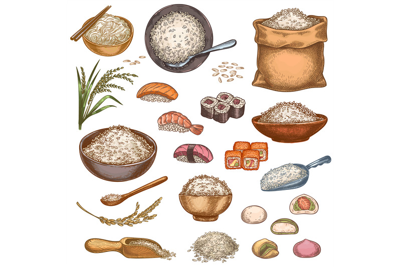 rice-food-hand-drawn-asian-dishes-sushi-rolls-mochi-porridge-bowl-a