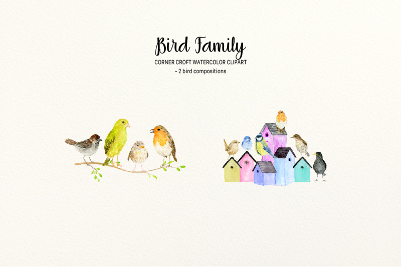 bird-family-watercolor-illustration