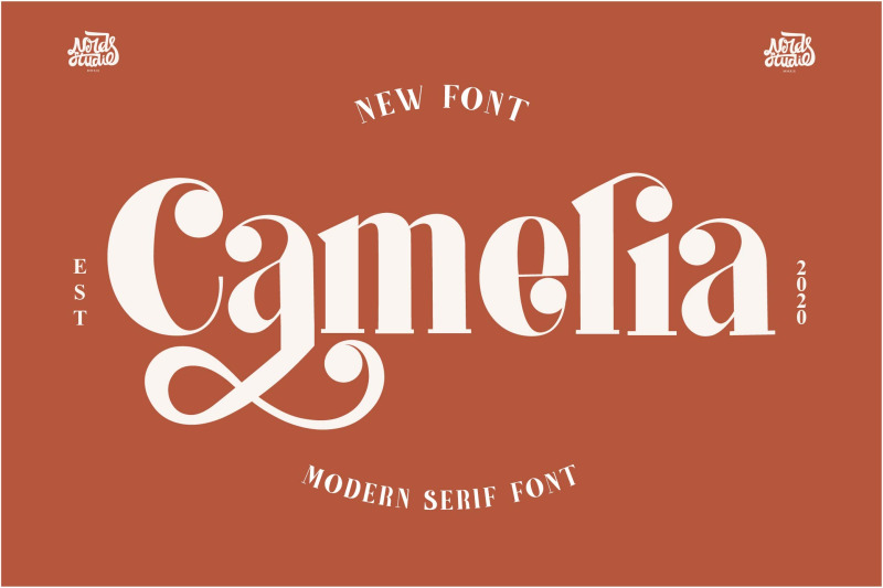camelia-a-new-serif-font
