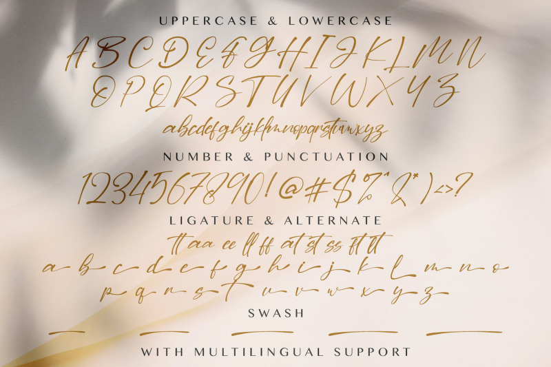 dilan-script-handwritten-font