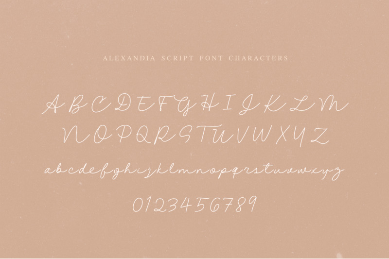 alexandia-script-font-elegant-fonts-script-fonts
