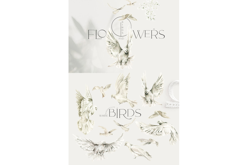 birds-and-flowers-watercolor-collection