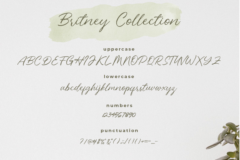 britney-collection