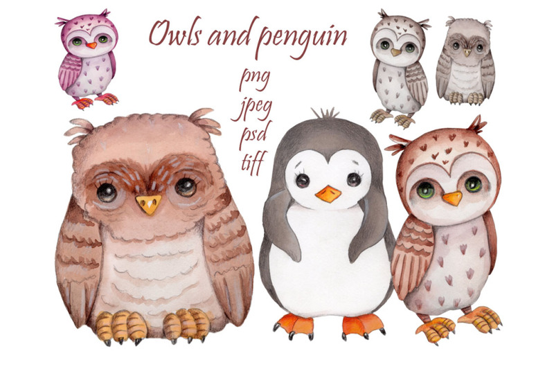 owls-and-penguin-watercolor-illustrations