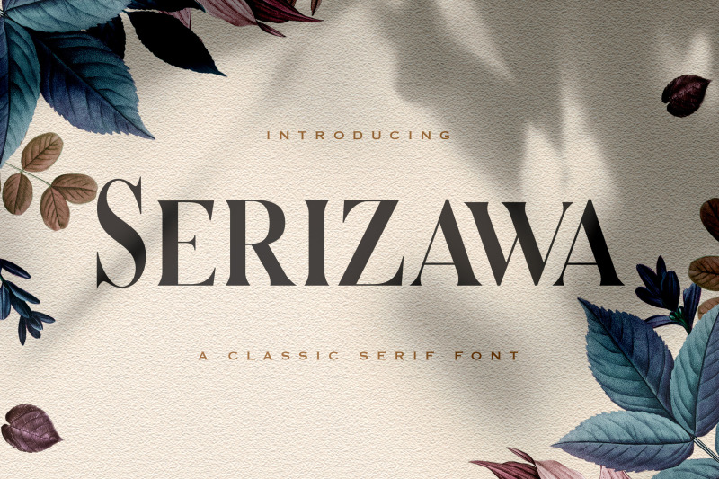 serizawa-classic-serif-font