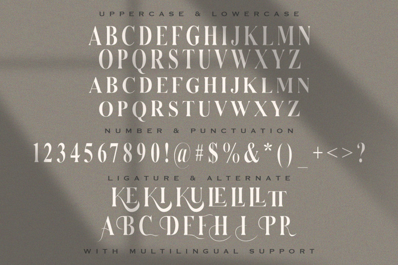 serizawa-classic-serif-font
