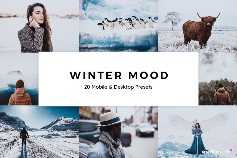 20-winter-mood-lr-presets
