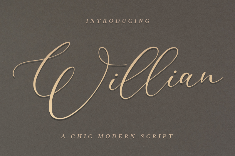 willian-a-chic-modern-script