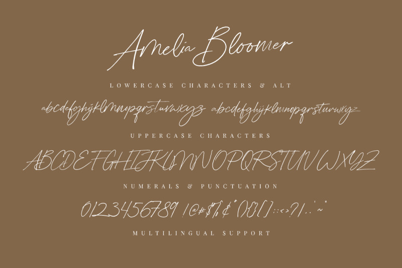 amelia-bloomer-handwritten-script