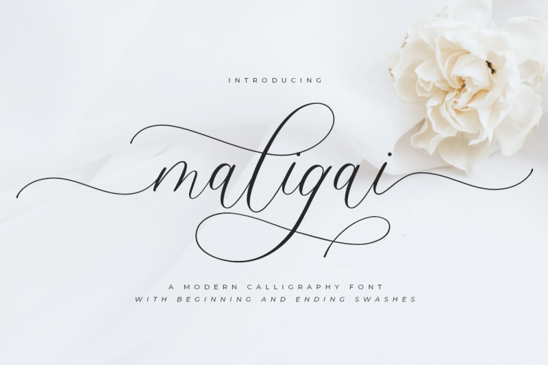 maligai-modern-calligraphy