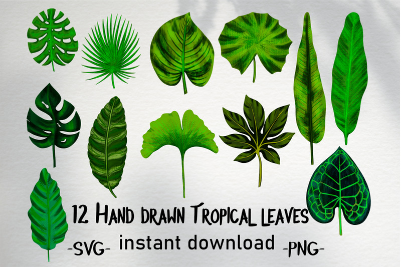 hand-drawn-tropical-leaves-bundle