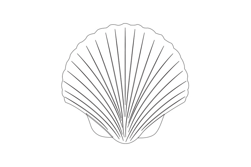 clam-beach-outline-icon