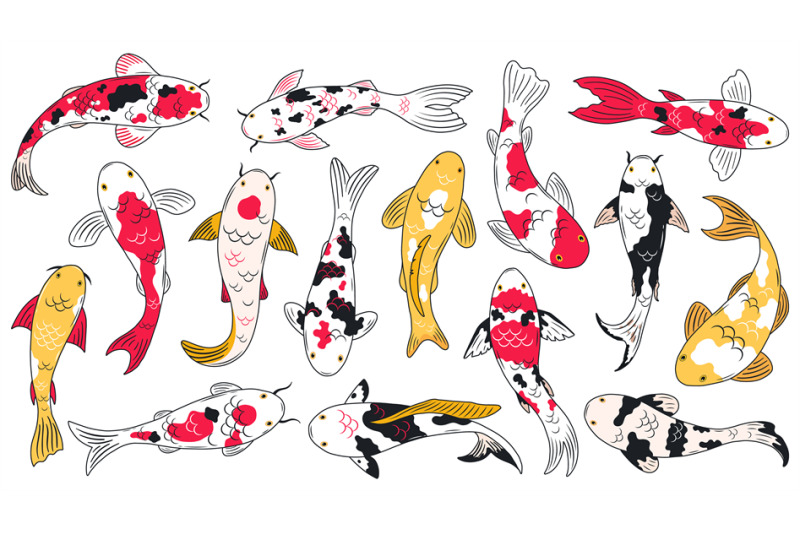 oriental-koi-fish-koi-carps-asian-ornamental-fish-traditional-orien