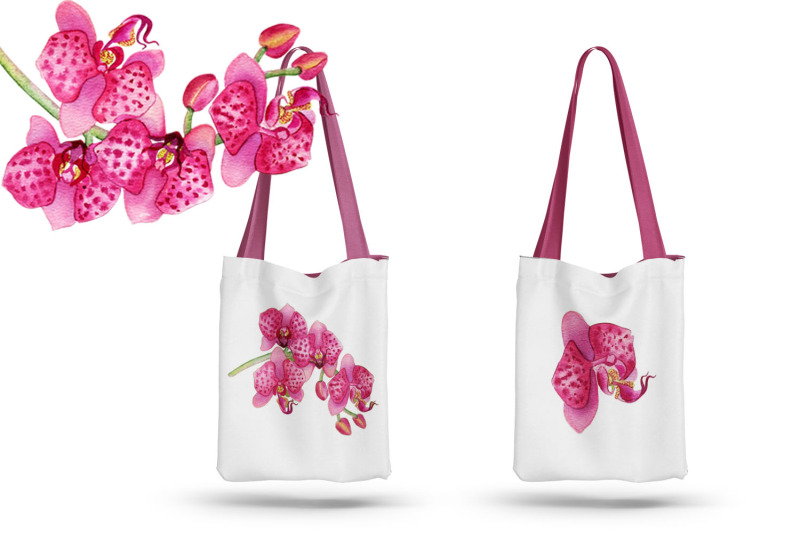 orchids-clipart-tropical-flower-watercolor