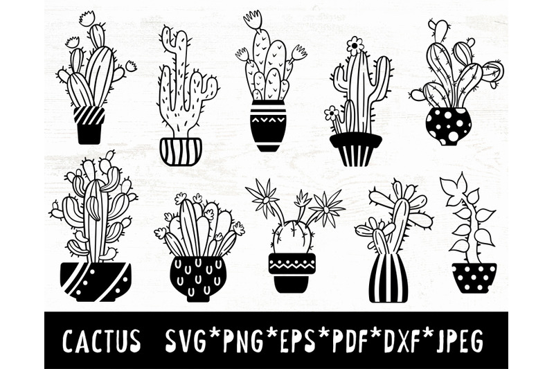 black-white-cactus-svg