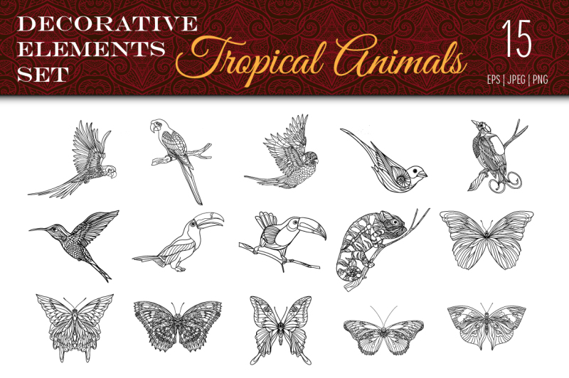 tropical-animals-set