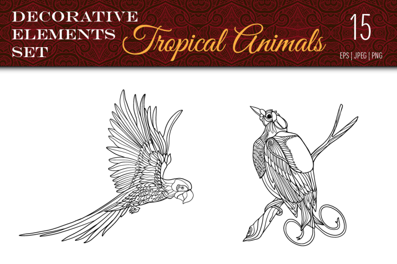 tropical-animals-set