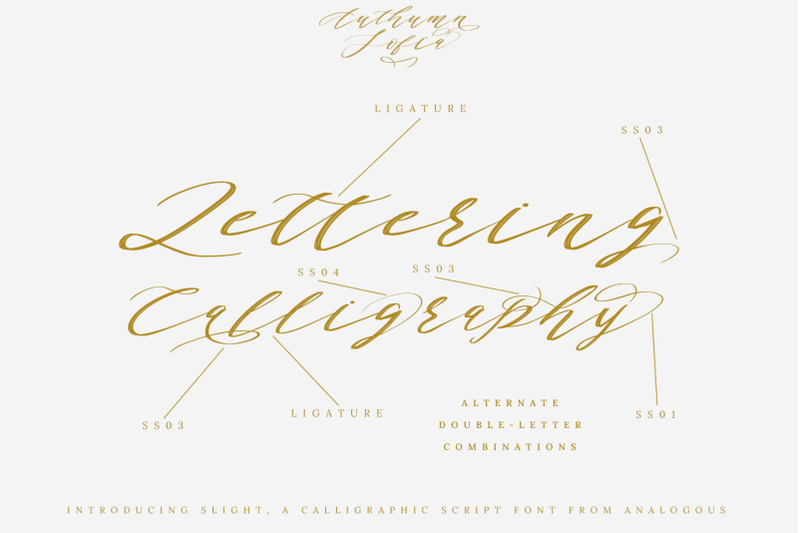 authumn-sofia-calligraphy-font