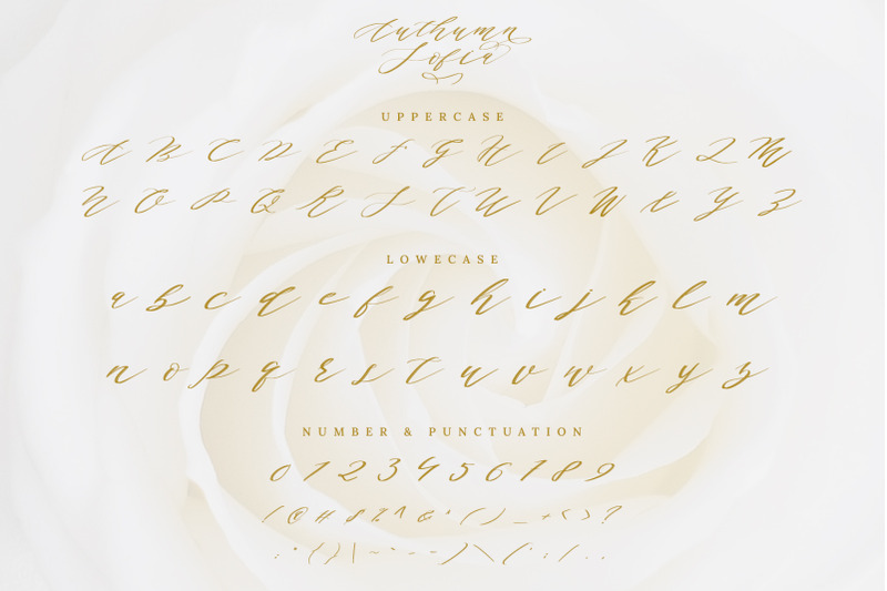 authumn-sofia-calligraphy-font