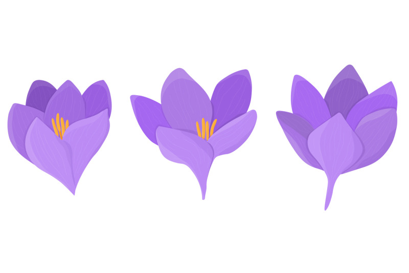 crocuses-vector-crocuses-flower-crocuses-svg-flowers-svg