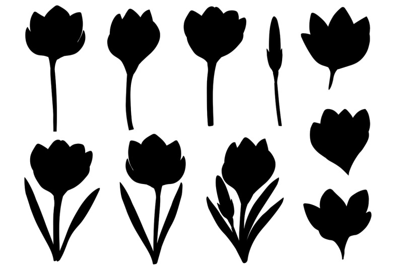 crocuses-silhouettes-flowers-silhouettes-crocuses-svg