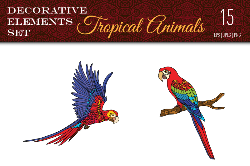 colored-tropical-animals-set